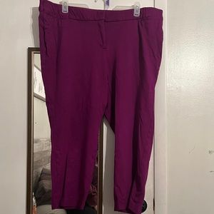 Purple Lane Bryant Allie pants